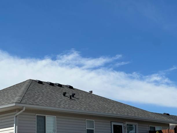 Best Green or Eco-Friendly Roofing Solutions  in Nashua, NH